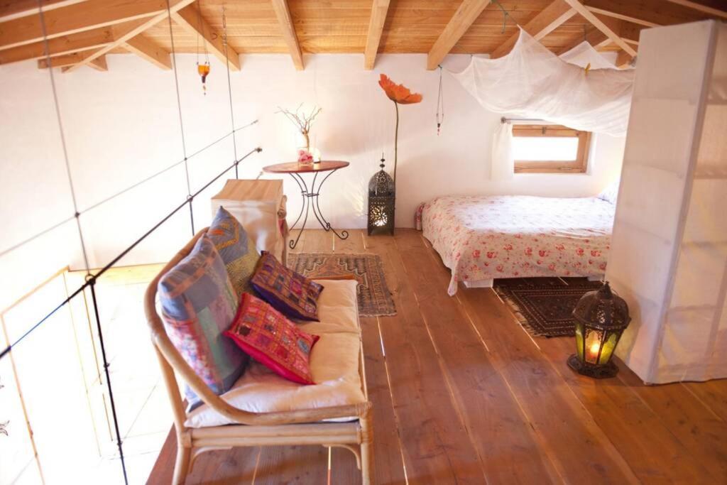 Romantica Fuego - Eco Retreat Finca Artis Tirma تاراخاليخو المظهر الخارجي الصورة