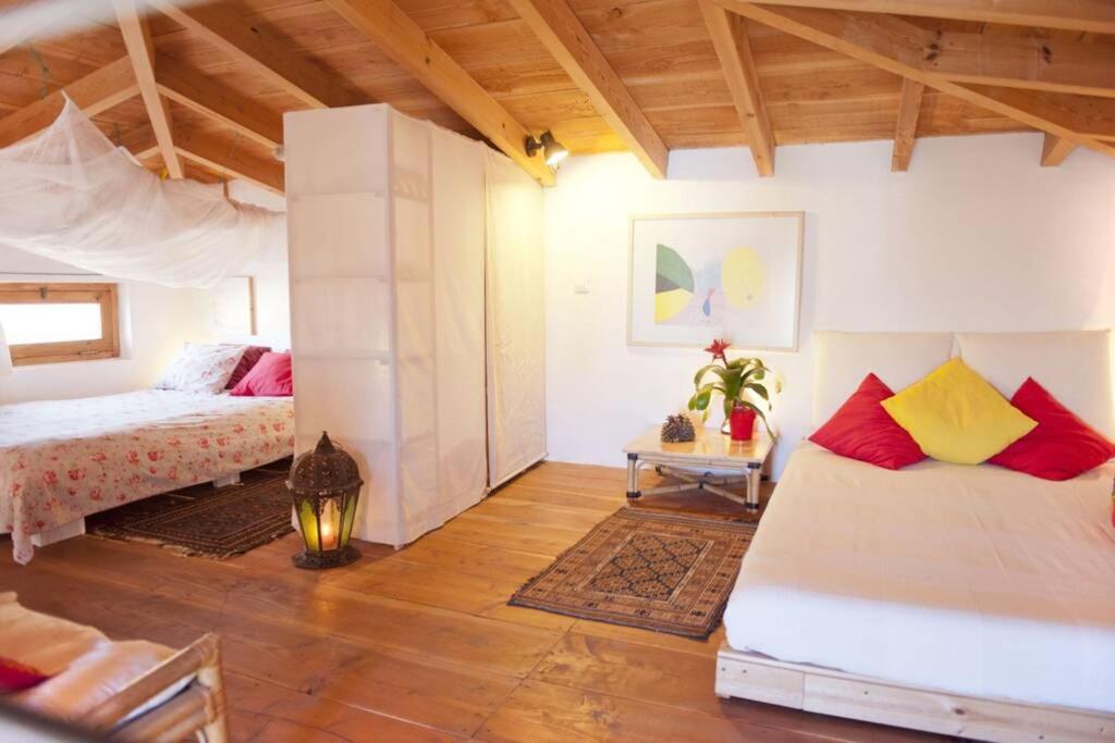Romantica Fuego - Eco Retreat Finca Artis Tirma تاراخاليخو المظهر الخارجي الصورة